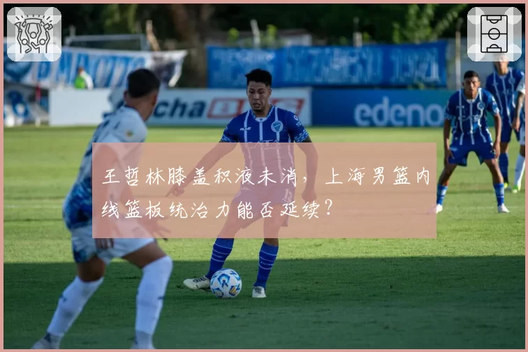 王哲林膝盖积液未消,上海男篮内线篮板统治力能否延续?