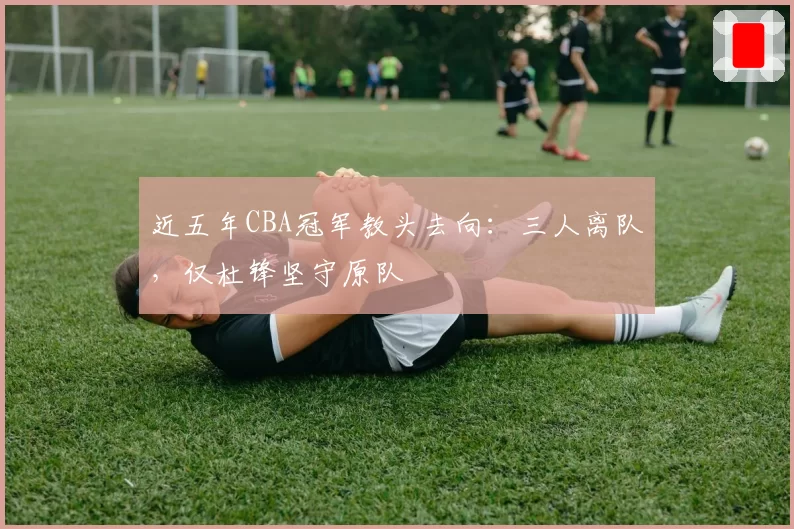 近五年CBA冠军教头去向:三人离队,仅杜锋坚守原队