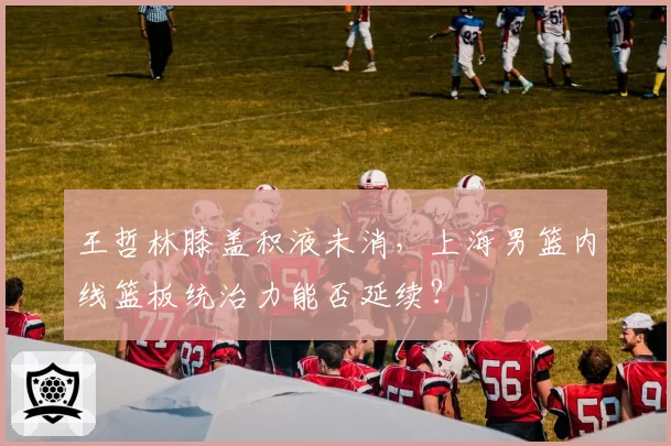 王哲林膝盖积液未消,上海男篮内线篮板统治力能否延续?