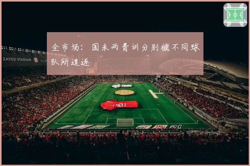 全市场：国米两青训分别被不同球队所追逐